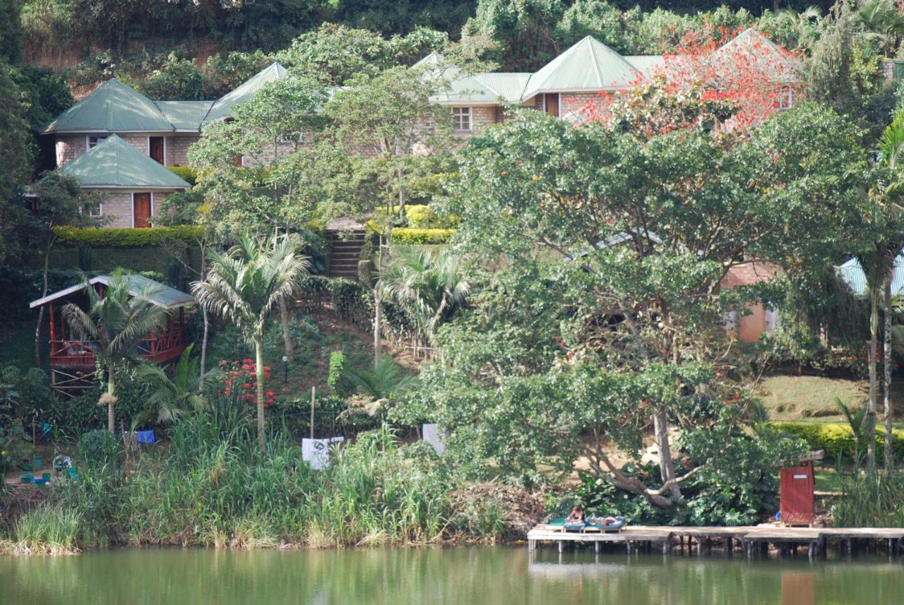 Crater Bay Cottages Kabale Exteriér fotografie