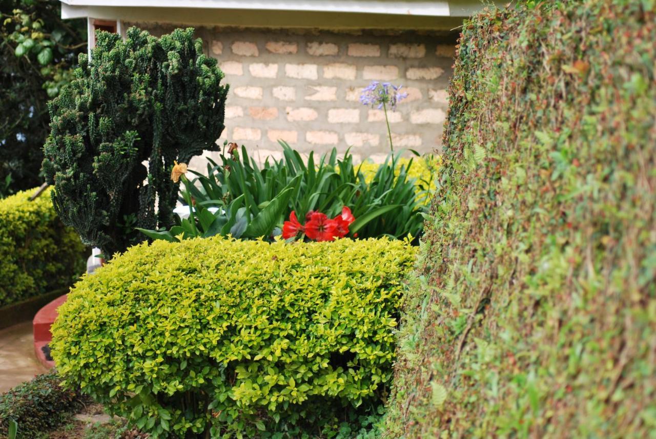 Crater Bay Cottages Kabale Exteriér fotografie
