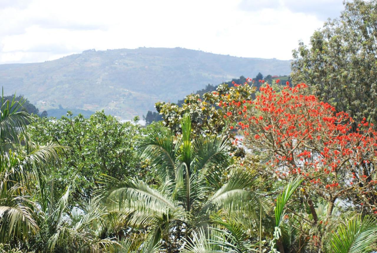 Crater Bay Cottages Kabale Exteriér fotografie