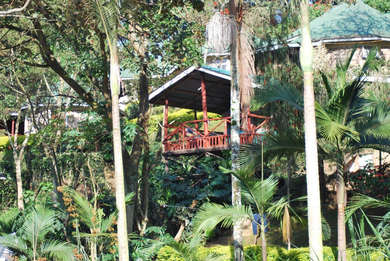 Crater Bay Cottages Kabale Exteriér fotografie