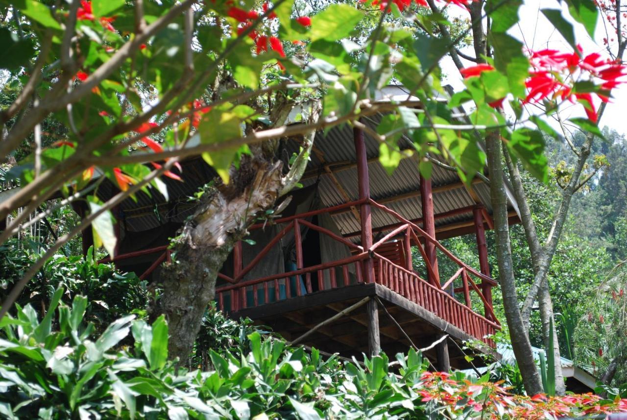 Crater Bay Cottages Kabale Exteriér fotografie