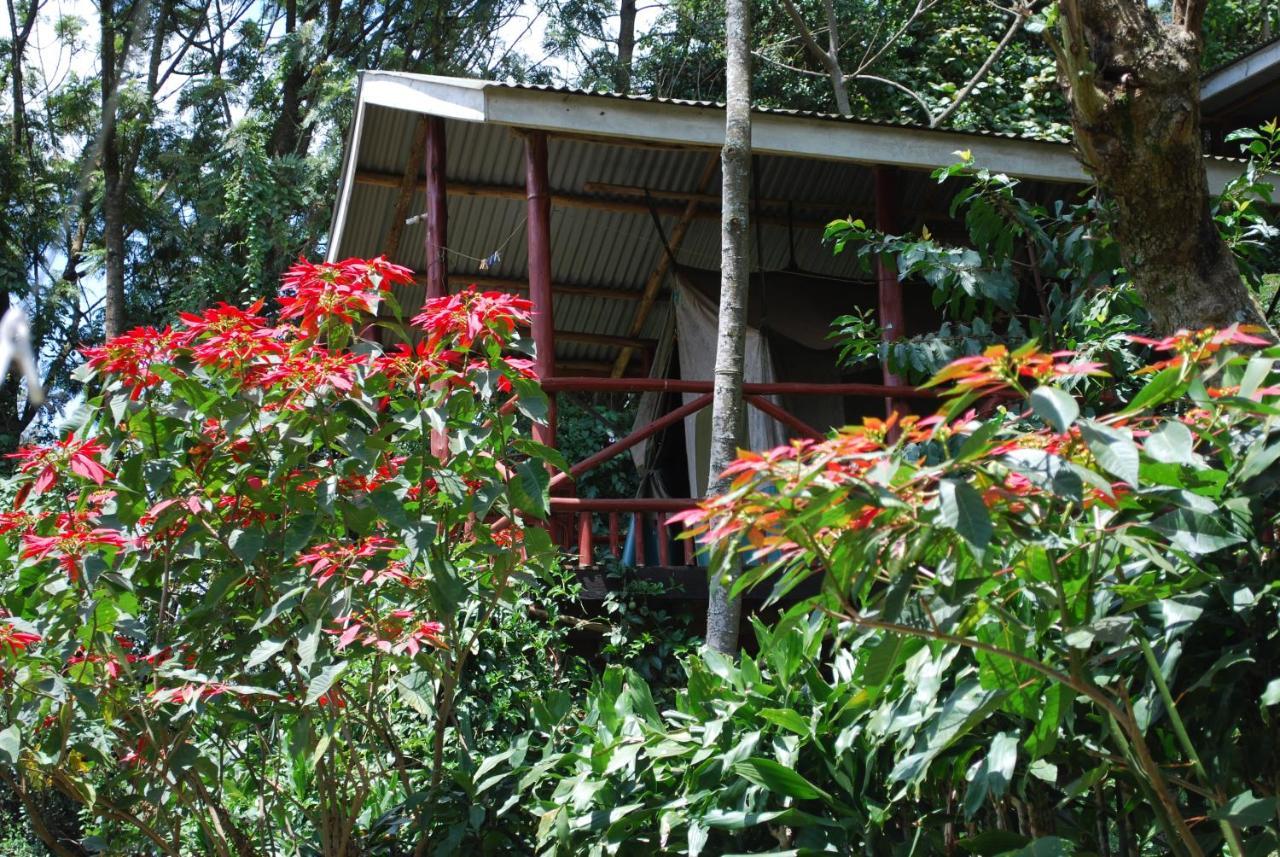 Crater Bay Cottages Kabale Exteriér fotografie