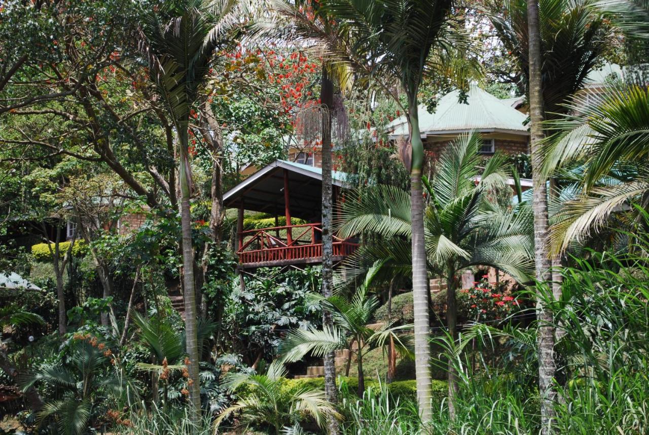 Crater Bay Cottages Kabale Exteriér fotografie
